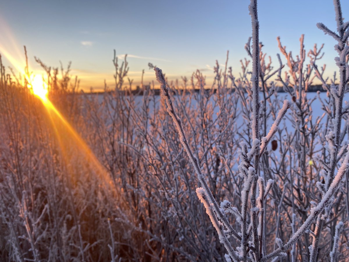 sarahoffin's tweet photo. Calgary, you’re a beauty. #yycwinter https://t.co/AwL2ev0lOA