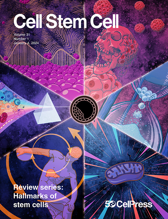 Happy New Year! We're ringing in 2024 with lots of great papers and an exciting Reviews series on the Hallmarks of Stem Cells! Check out the flagship Review from @HansClevers & Joep Beumer on Hallmarks of stemness in mammalian tissues. More to come! cell.com/cell-stem-cell…