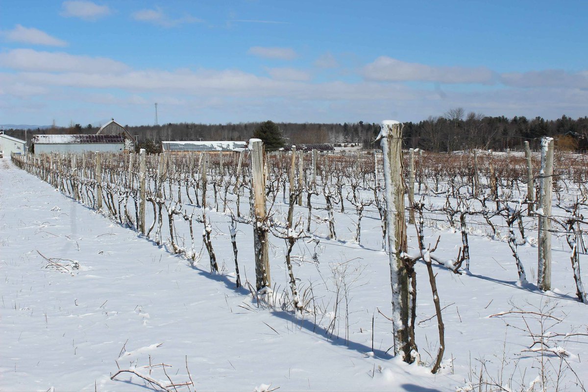 La neige comme alliée contre le froid cariboumag.com/articles/la-ne…