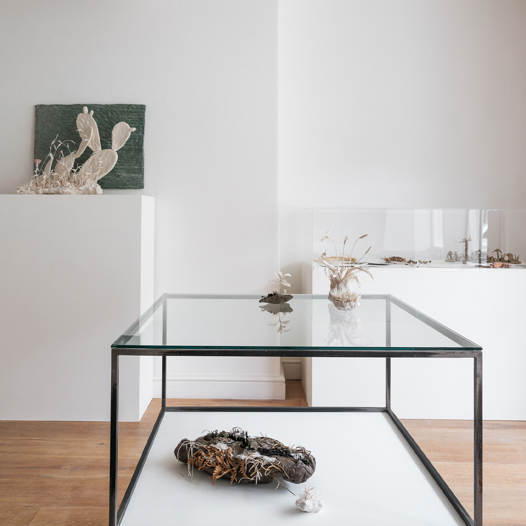 HWSomerset's tweet photo. 📍On view at #HWMake Somerset: ‘Natural Practice’ featuring ceramicist Katie Spragg (@spragg_katie).
This exhibition celebrates the artist’s year-long residency in Braemar, Scotland, #HWMenorca and #HWSomerset.
🗓️Until Sunday 18 February
🔗https://t.co/TBZkKYXMr3
📸Dave Watts https://t.co/If8nxaoRhZ
