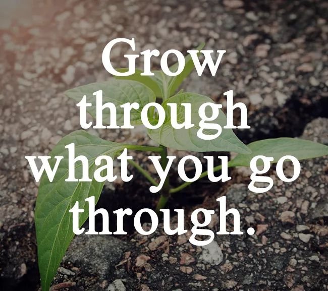 NiceDawn's tweet photo. Life is a lesson... learn! https://t.co/kvxLtvXNpm