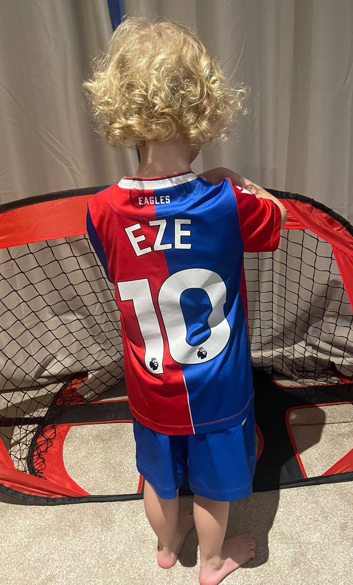 StephCpfc's tweet photo. @EbereEze10 @CPFC @CEO4TAG young Alfie is Palace ready and hopes to meet his idol one day. He's so happy to see you scoring goals and wears a Palace shirt EVERY day! #CPFC can you give him a reply as he is an avid fan at 4 years old! https://t.co/1K3zN31hyu