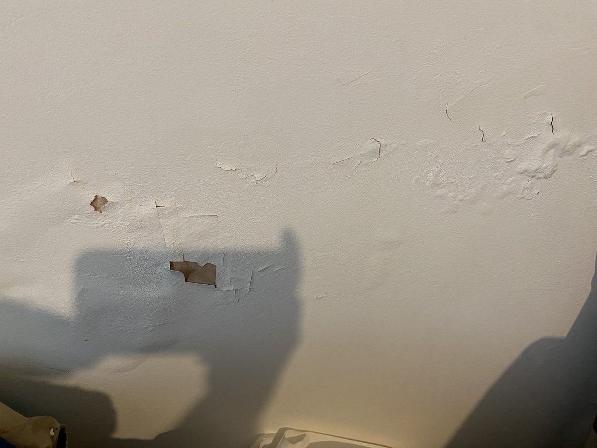 SamiaMeahPhoto's tweet photo. Black mould, mould and flooding for another year in row at my elderly mothers and vulnerable brothers home. She fell over due to flooding and was hospitalised last year. My brother got tuberculosis from the black mould previously. All at the hands of @originhousing https://t.co/OIvab0kYSN
