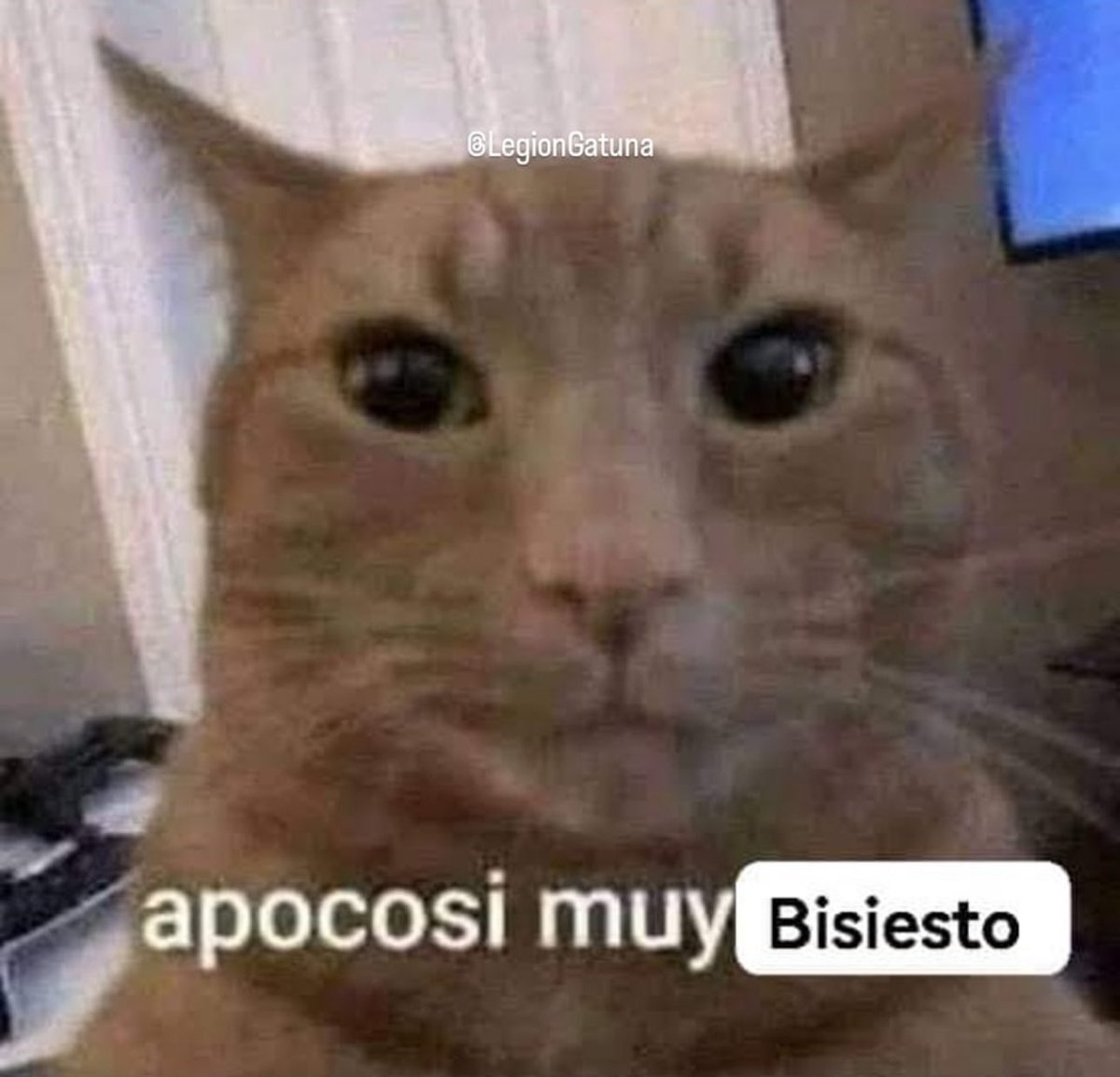 elamigodiego's tweet photo. Viendo los desastres naturales y aviones chocados en Japón, la lista de Epstein donde se menciona a Oprah, Stephen Hawking, el Papa entre otros en las fiestas de pedófilos, la pelea de Annette Cuburu y Andrea Legarreta, Britney Spears deja la música, todo en 4 días de Enero 2024 https://t.co/0v4LqR1pXj