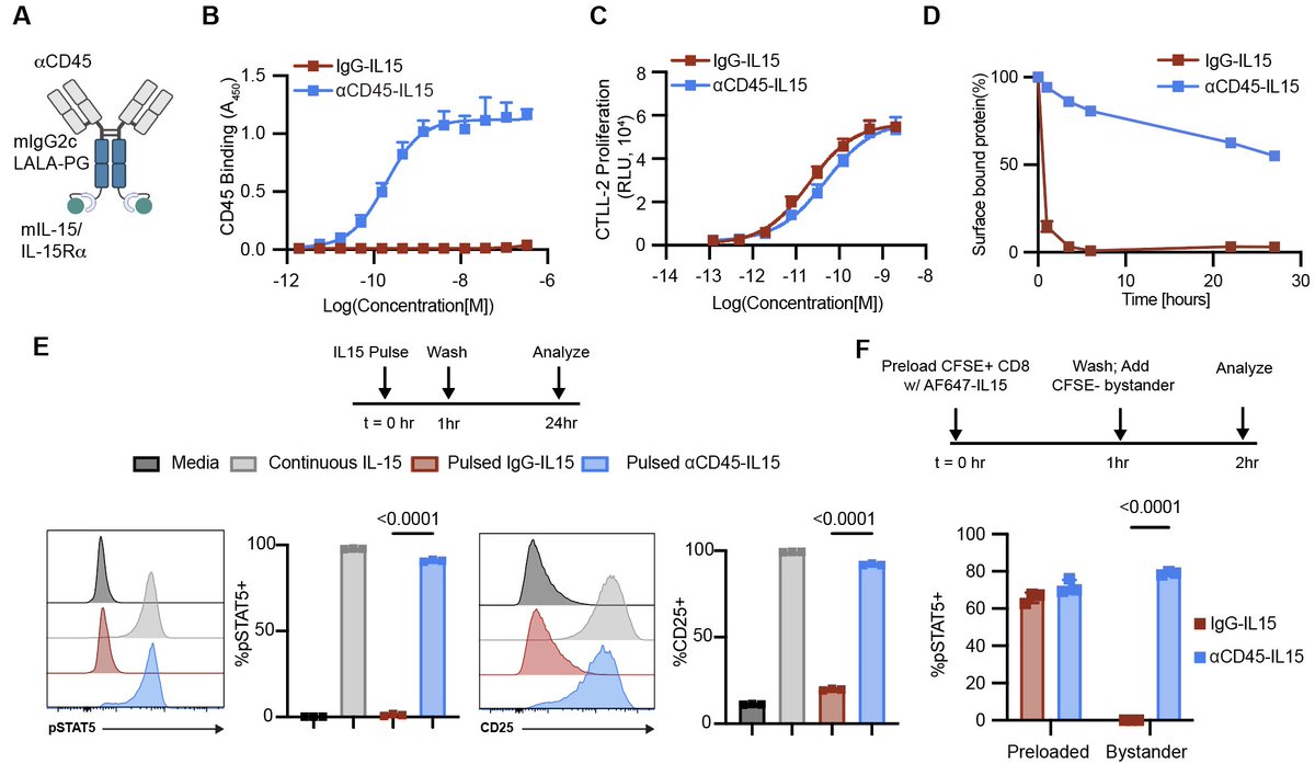 We generated an aCD45-IL15 fusion and tested it in vitro. CD45 binding dramatically slowed down native cytokine internalization and this longer surface half-life led to extended and sustained downstream pSTAT signaling. We saw the same behavior for an aCD45-IL12 fusion.