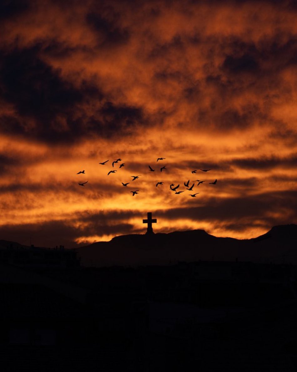 GM

<a href="/riquelmefoto/">Riquelmefoto 🧡📷</a> - Another Day At Crossed Horizons