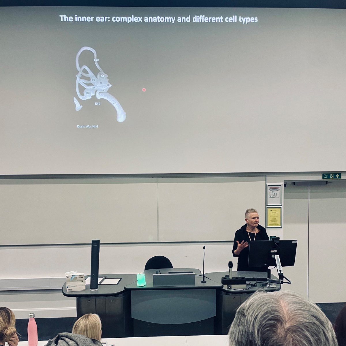 The final session of today is from Andrea Streit. Andrea is presenting work from her lab that looks at the role of Sox8 in inner ear development. #anatsocwinter