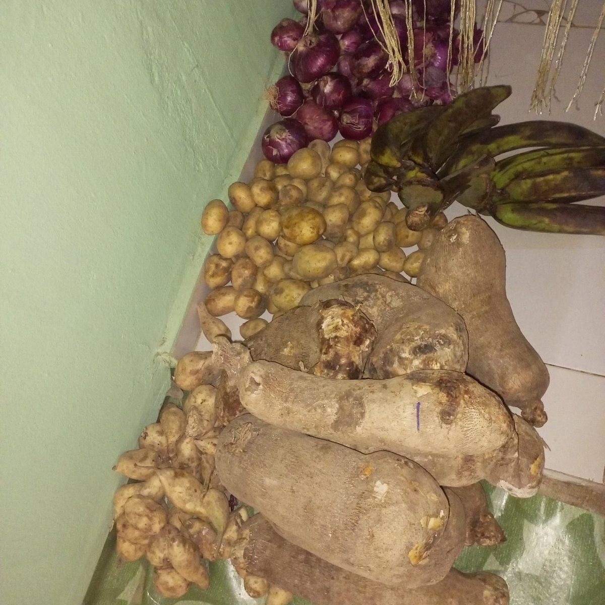 CallyGodstime ❣️. OGECHIKANMA❣️ ADA ngwa 🥰 (@ogechicalista1) on Twitter photo <a href="/_spiriituaL/">🦉 🧘🏽♂️spirituaL🧘🏽♂️</a> <a href="/Berrychexplace/">ACHENYO !</a> @FFF_NGR <a href="/_TheSpiritGroup/">THE SPIRIT GROUP OF COMPANIES®️.</a> <a href="/Deebaba0/">Adesipe®️</a> <a href="/Ada_Jenny12/">Ada ˢᵀ 👩💻 🧘♂️</a> <a href="/Salaksmania23/">ÅBÏMBÕŁÄ_SpiriituaL_Jr 🧘🏻♂️🪔</a> <a href="/A_I_S_01/">🦁SPIRITUAL HOME BOI🧘🦁</a> <a href="/Chommy0209/">Cho_my</a> <a href="/Helenmar1111/">Helenmar</a> <a href="/queenoge911/">OGE PET HUB 🐶❤️</a> Thank you so much dedem <a href="/_spiriituaL/">🦉 🧘🏽♂️spirituaL🧘🏽♂️</a> ,I have received my food stuffs from <a href="/Berrychexplace/">ACHENYO !</a> ..I'm grateful sir,may God continue to increase You all-round in Jesus name Amen.. <a href="/_spiriituaL/">🦉 🧘🏽♂️spirituaL🧘🏽♂️</a> <a href="/Berrychexplace/">ACHENYO !</a> @FFF_NGR <a href="/_TheSpiritGroup/">THE SPIRIT GROUP OF COMPANIES®️.</a> <a href="/Deebaba0/">Adesipe®️</a> <a href="/Ada_Jenny12/">Ada ˢᵀ 👩💻 🧘♂️</a> <a href="/Salaksmania23/">ÅBÏMBÕŁÄ_SpiriituaL_Jr 🧘🏻♂️🪔</a> <a href="/A_I_S_01/">🦁SPIRITUAL HOME BOI🧘🦁</a> <a href="/Chommy0209/">Cho_my</a> <a href="/Helenmar1111/">Helenmar</a> <a href="/queenoge911/">OGE PET HUB 🐶❤️</a> Thank you so much dedem <a href="/_spiriituaL/">🦉 🧘🏽♂️spirituaL🧘🏽♂️</a> ,I have received my food stuffs from <a href="/Berrychexplace/">ACHENYO !</a> ..I'm grateful sir,may God continue to increase You all-round in Jesus name Amen..