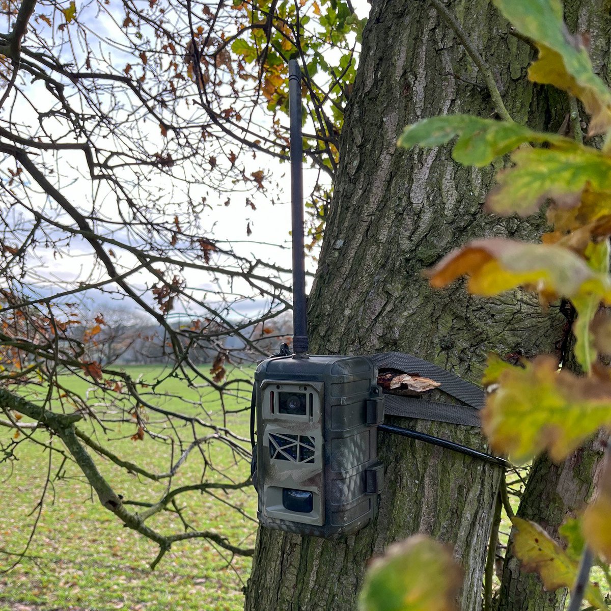 SamSeccombe's tweet image. Imagine if those working to protect our Earth’s environment and wildlife could place a camera or sensor anywhere in the world and see the images and data being captured in near real-time.

With ZSL&apos;s #InstantDetect2, now they can...

#InstantDetect2 has the potential to have wide…