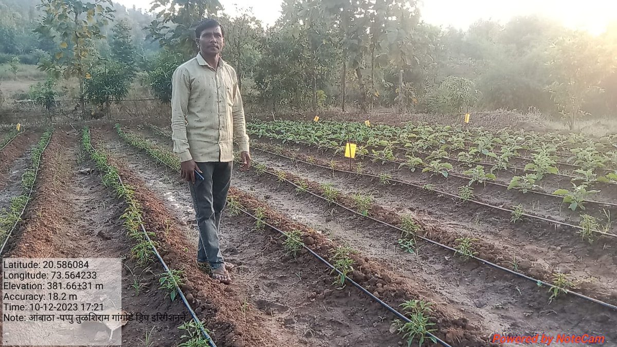 sevavardhini's tweet photo. Revolutionizing rural growth! 
The Sansadiya Sankul Vikas Pariyojana Project Bhormal Cluster, in partnership with Sevavardhini and the Solar Energy Corporation of India, has successfully uplifted 5 villages in Surgana Taluka Nashik district. https://t.co/xuJDzGSmou
