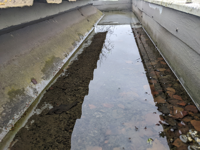 CladdingCoating's tweet image. Happy New Year, we are back in the office, are you? After the recent heavy and persistent rainfall, if you’re back, then now is the time to do some checks. 
Find out more here &amp;gt;&amp;gt; claddingcoatings.co.uk/news/how-heavy…
 #gutterrepair #roofrepair #claddingrepair #cutedgecorrosion