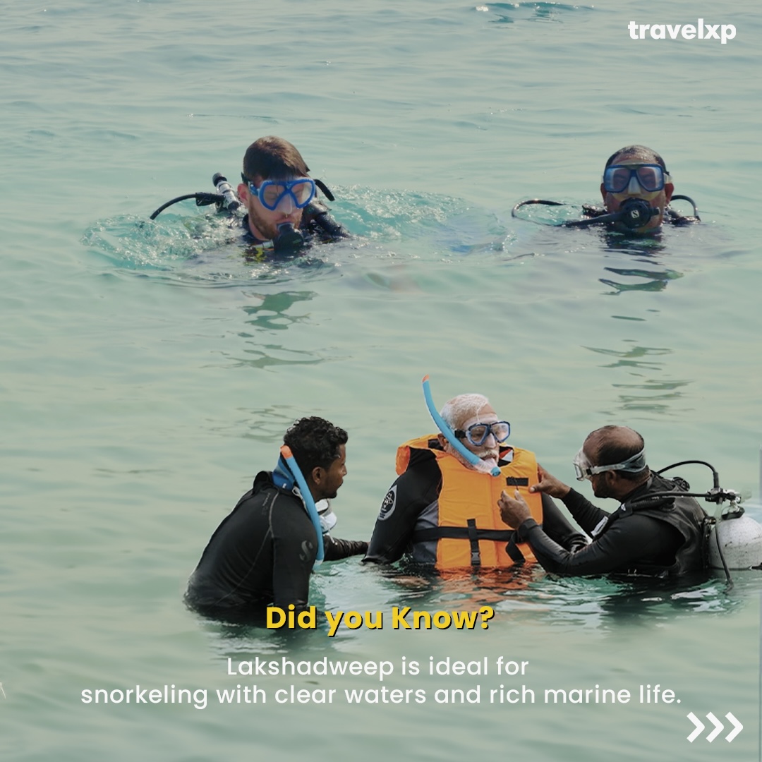 travelxp's tweet photo. Did we just spot 👀 Modi Ji with Alex Dorbin!

PM Modi Ji was seen exploring the beauty of Lakshadweep🏝️, It's a unique destination with beautiful marine life best suitable for Snorkeling.
#lakshwadeep  #Snorkeling  #ModiJi https://t.co/uU995irr3n