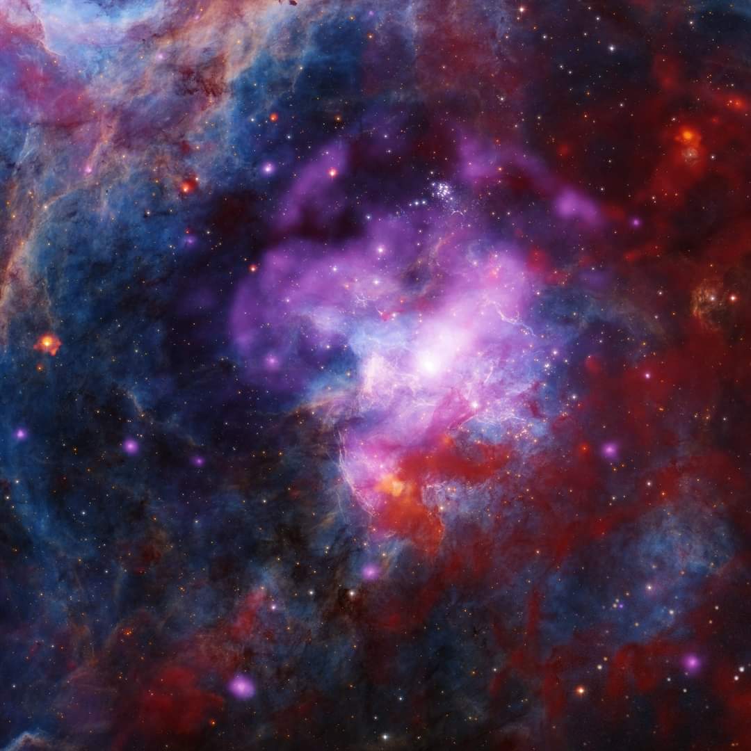 Chandra and other NASA telescopes have begun the year with a significant discovery. A vibrant image of 30 Doradus B, captured using various wavelengths of light, showcases the remnants of not just one but possibly two exploded stars. The Chandra X-ray Observatory, along with