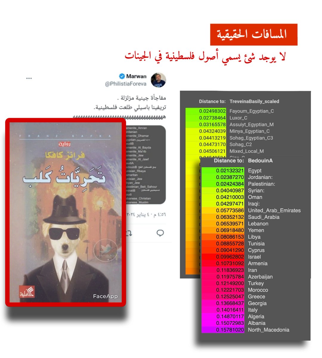 Mohamed Abdelhady - محمد عبدالهادي tweet media