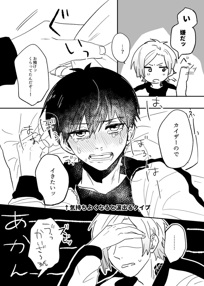 kiis 描いてたら迷走しはじめたので無理矢理終わらせてしまった…。 久しぶりのエッ…という設定です