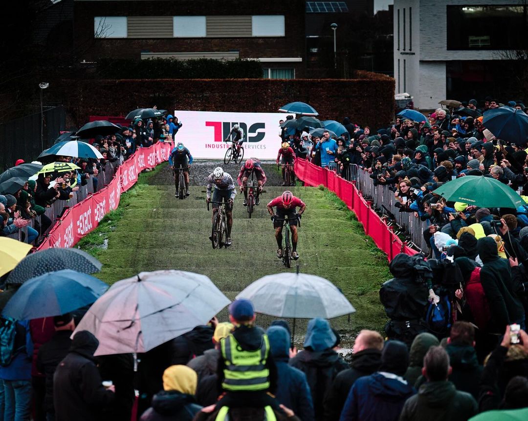 Felipe Orts Lloret tweet media