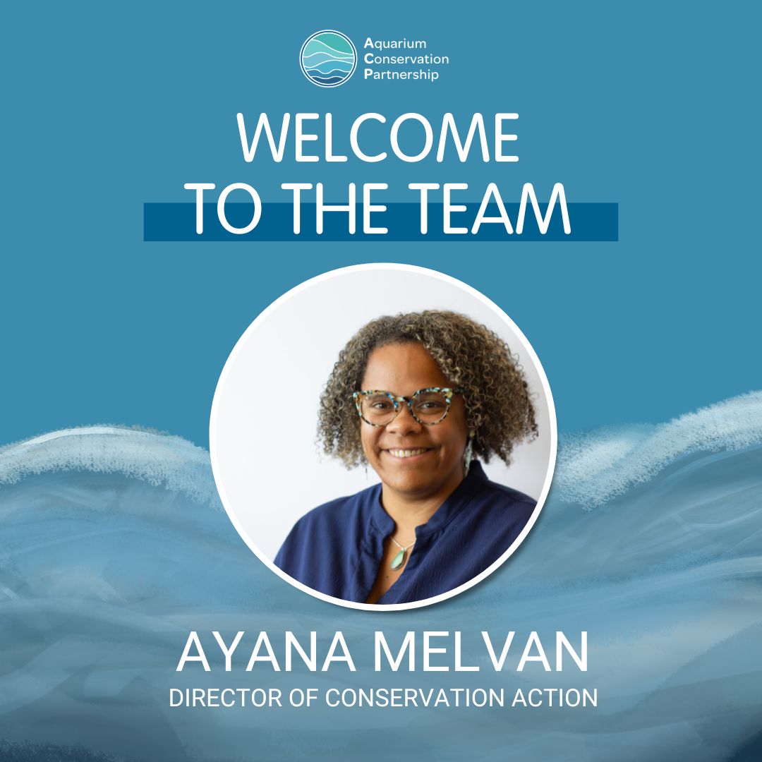 ACP is excited to announce the latest addition to our team @AyanaMelvan, who will join as the new Director of Conservation Action! Ayana will be responsible for strategic partnerships, policy, and advocacy with a special focus on Ocean Justice and Equity. Congratulations, Ayana!