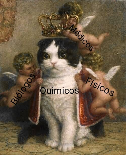 nanoprofe's tweet photo. Dejaré aquí esto y me retiraré lentamente.... https://t.co/oKdms3x3Yd