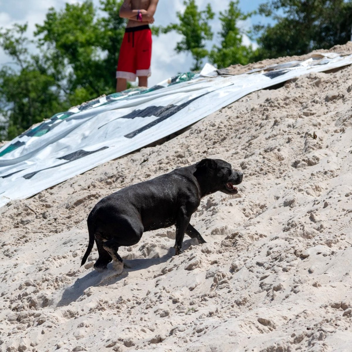 Suwannee River Jam tweet media