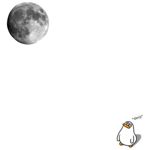 It is almost *derp* time