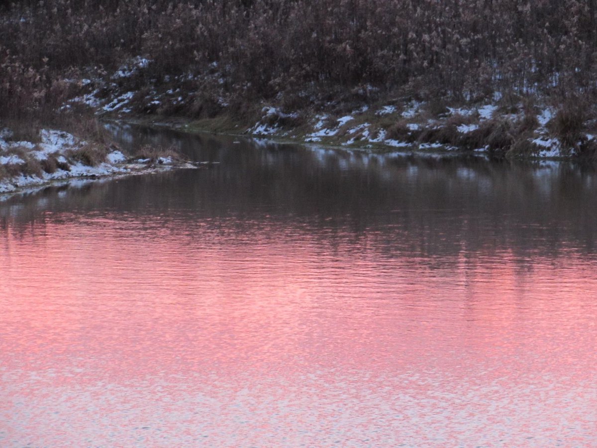 outmybackdoor7's tweet photo. Pink waters, photo by me, #pink #pinkwaters #snow #snowday #pondlife #pondside #reflections #reflection #sunset #stillwaters #ohio #nature #aesthetics #peaceful #outmybackdoorbydenise https://t.co/7kyyoGPpGN