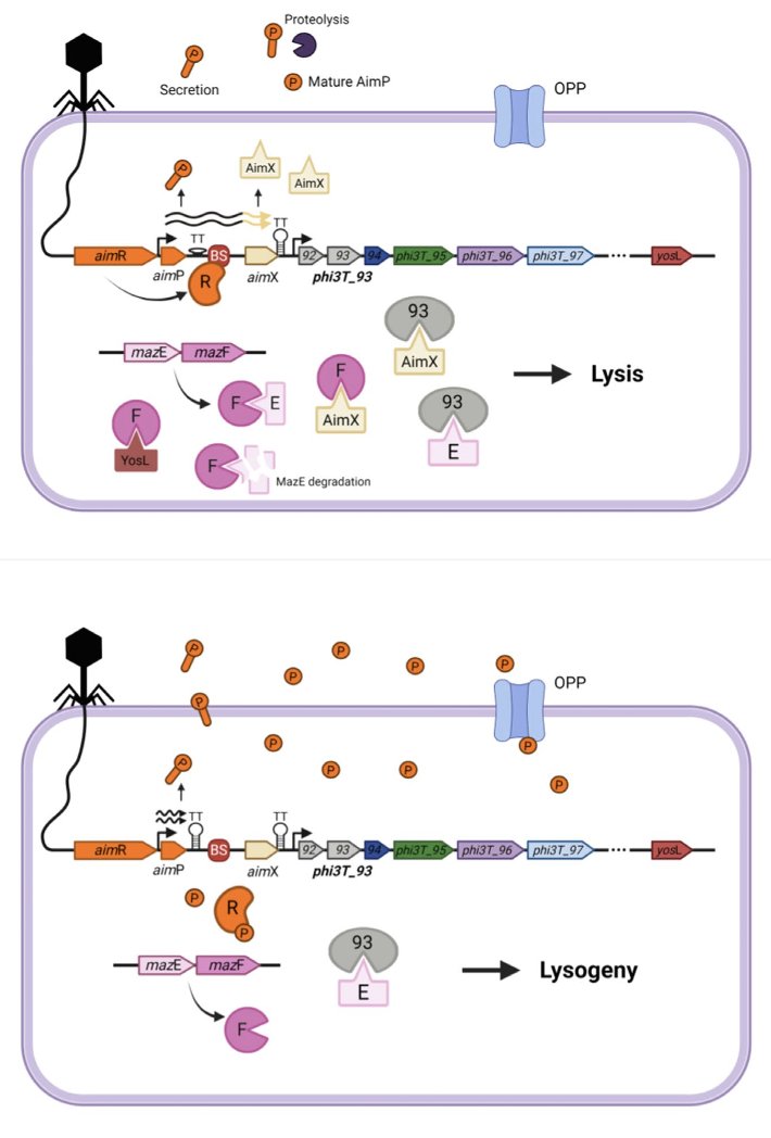 Alberto Marina's Lab tweet media