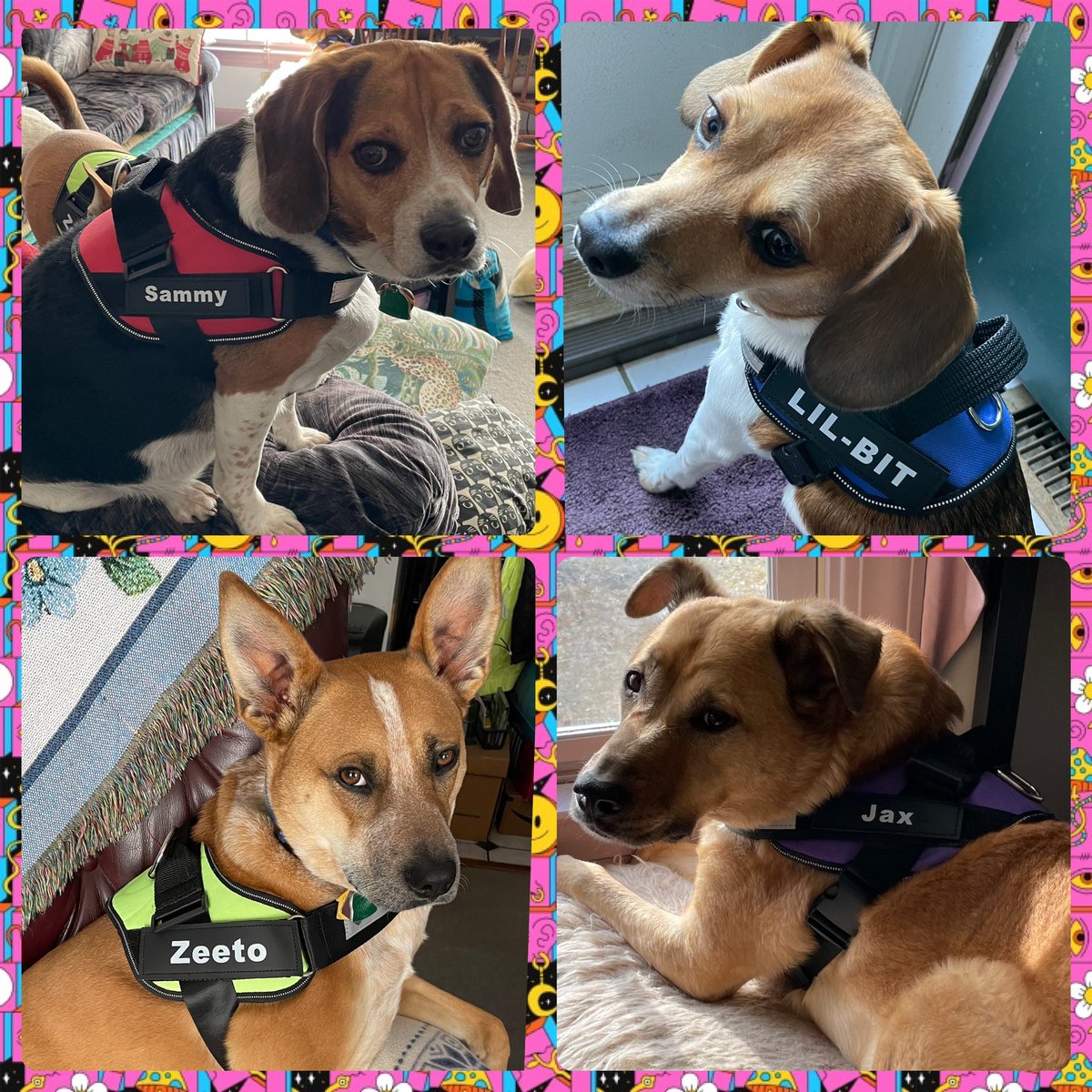 Sherry Reich tweet media