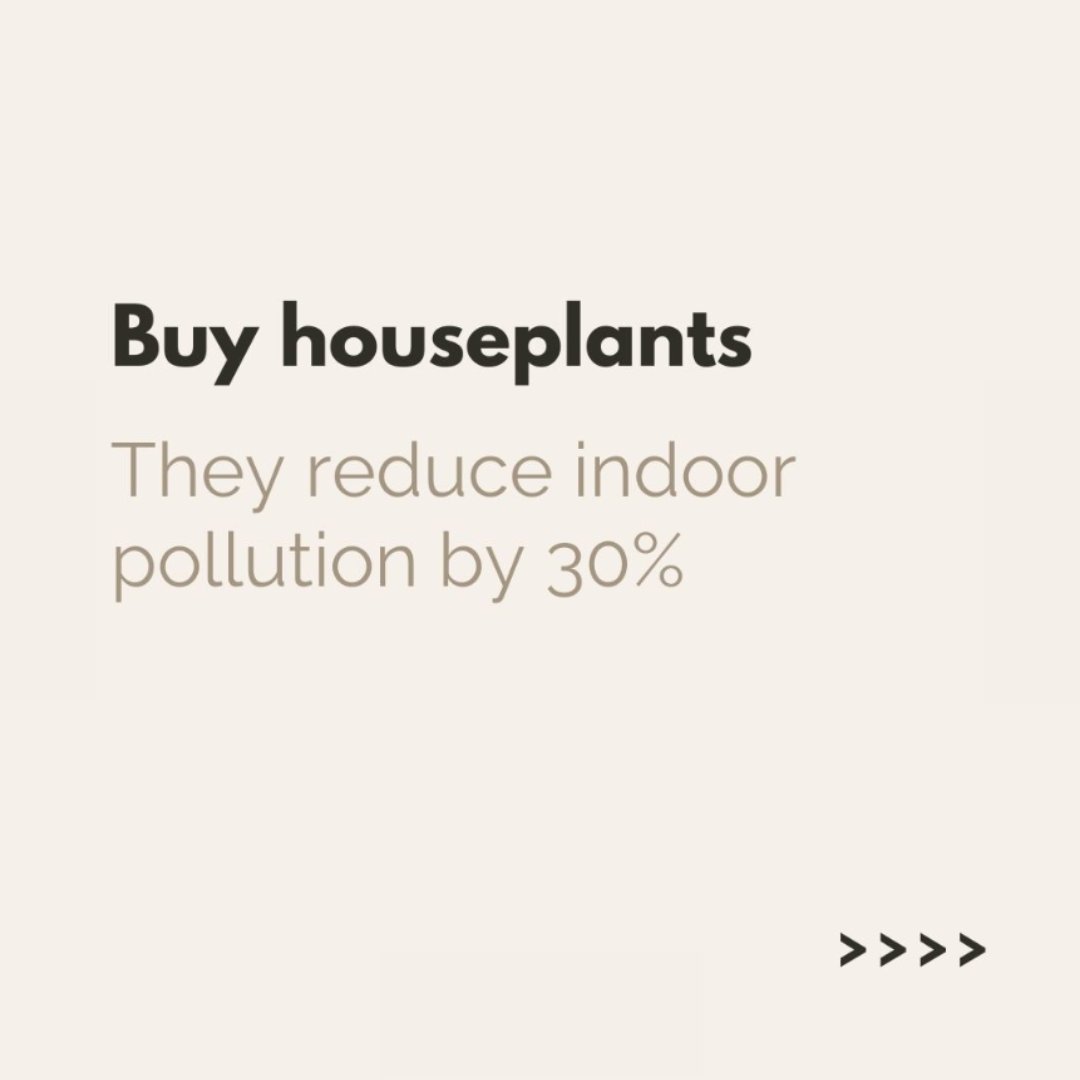 JeffMarcusInst's tweet photo. Here are 4 ways to detox your home for the new year! https://t.co/YBFzGIcMMN