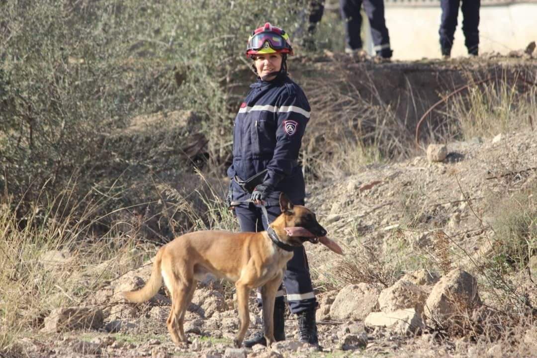 CoopSecuDefense's tweet photo. #Algérie 🇩🇿🇫🇷 : 1️⃣5️⃣ agents de la protection civile algérienne ont été formés aux fonctions de conseiller technique cynotechnique à Chlef.

#cooperation #protectioncivile #securitecivilefrancaise
#DCSD #DGSCGC #MREI #DCIS https://t.co/zVfAEjzGTI