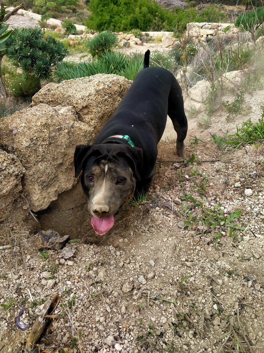 Carris (@lcarrisl) on Twitter photo 