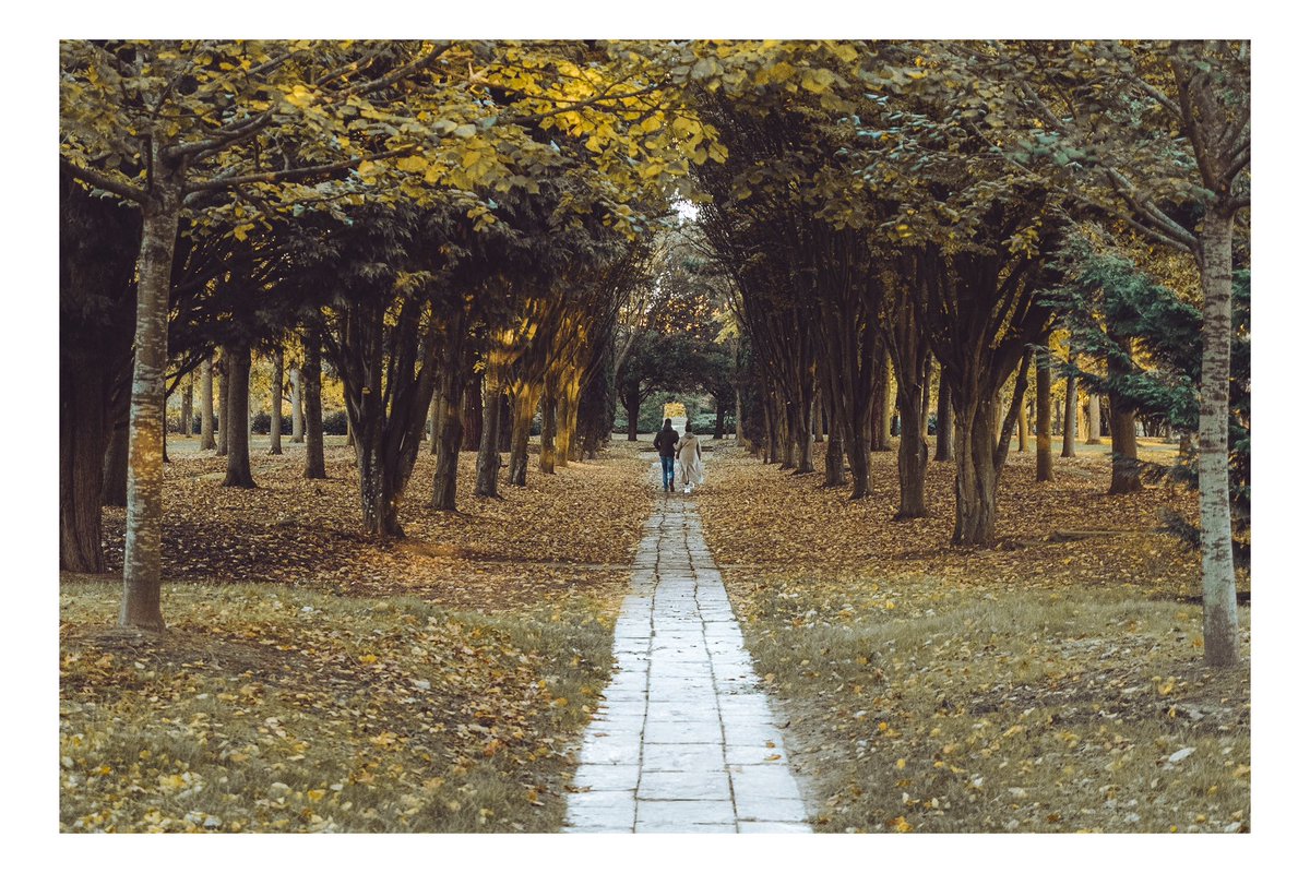 marklovelandph1's tweet photo. A walk amongst the trees.
Cathedral of Trees, Milton Keynes
#scenesfrommk #lovemk #cathedraloftrees #treecathedral #photography https://t.co/M7f4w1gCrX