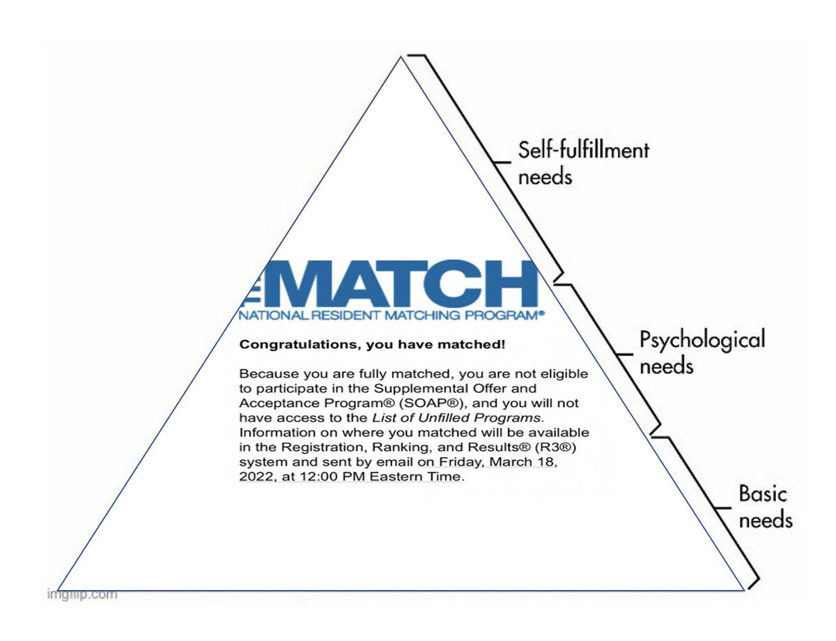 med student hierarchy of needs