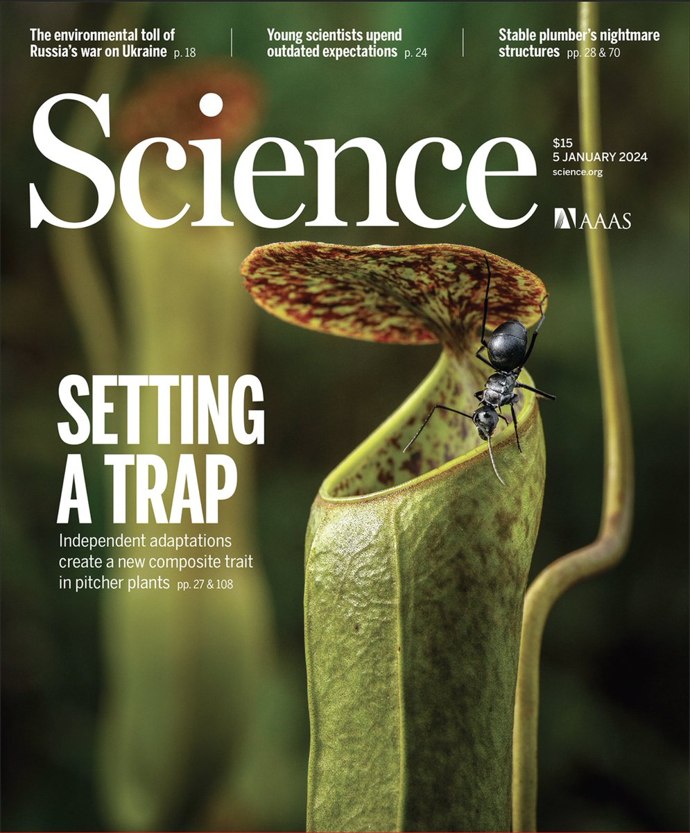Super excited about our new paper entitled ‘Convergence in carnivorous pitcher plants reveals a mechanism for composite trait evolution’ just out in @ScienceMagazine and featured on the cover!