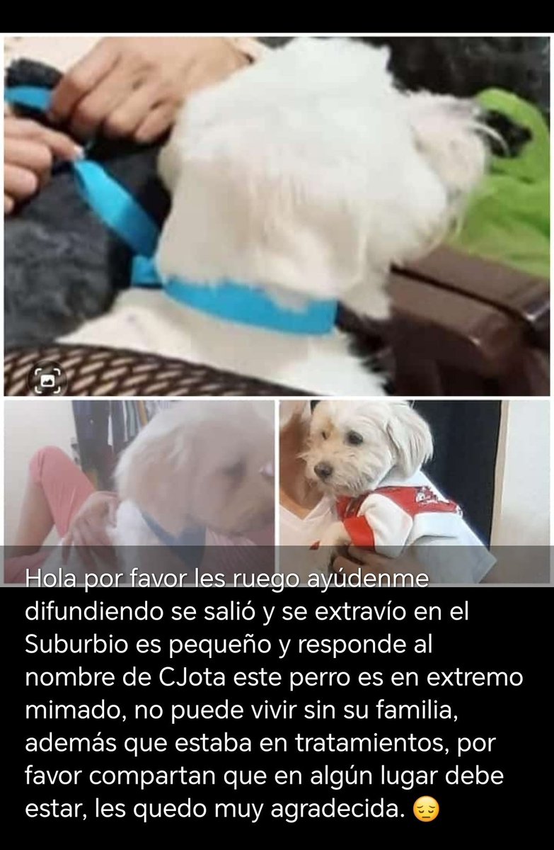 AlertaMePerdi's tweet photo. #PERDIDO #GUAYAQUIL
Nombre: #CEJOTA
Fecha: 02/01/24
Sector: Sur, 25ava. y la J entrando por la 29
Sexo: Macho
Raza: Mestizo
Observación: Pequeño, blanco, bigoton, peludo pero recién cortado su cabello.
Contacto: 0963280910
¡Ayúdalo a volver con su familia!
#AlertaMePerdí https://t.co/gkp91rspbk