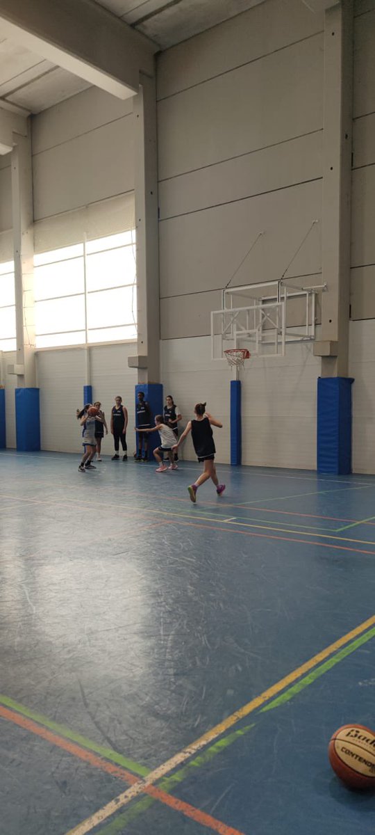 Basketbasko's tweet photo. EUSKADI MINI AURRE-SELEKZIOA 🏀

Gaur eduki dute gure txikiek aurre-selekzioko lehenengo entrenamendua. Gogor entrenatu eta batez ere disfrutatu egin dute!

Gozatu eta ikasi esperientzia honetaz 🤗

Igandean, urtarrilak 7, bigarren saioa egingo dute, Irlandesas Kiroldegian.

🏀💪🏼 https://t.co/1Fp6QX30dK