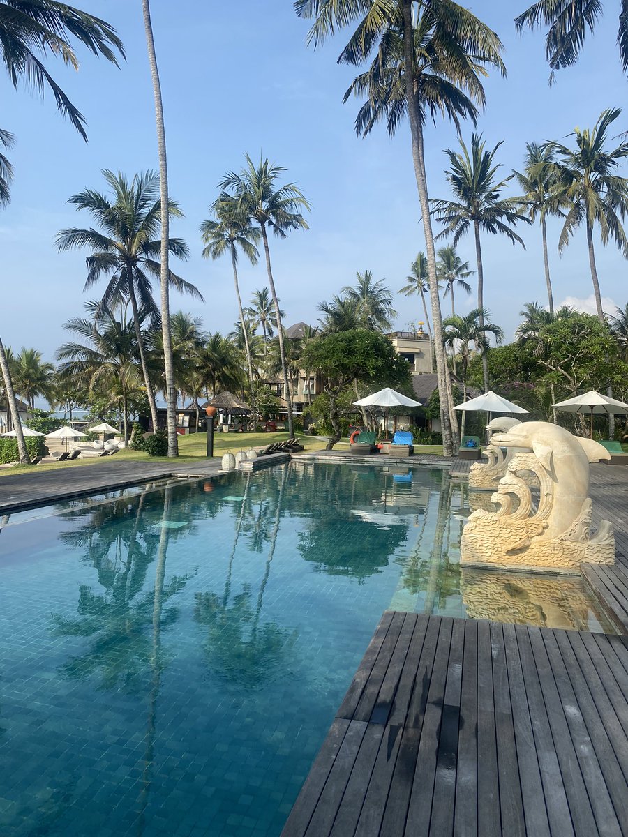 Tommy Condell tweet media