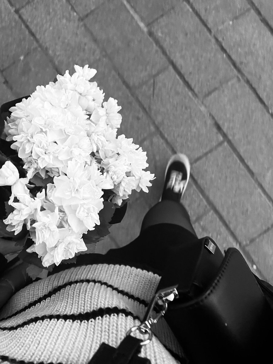 tugbal96's tweet photo. Nergis 🌼 https://t.co/zOA9eSdcrD