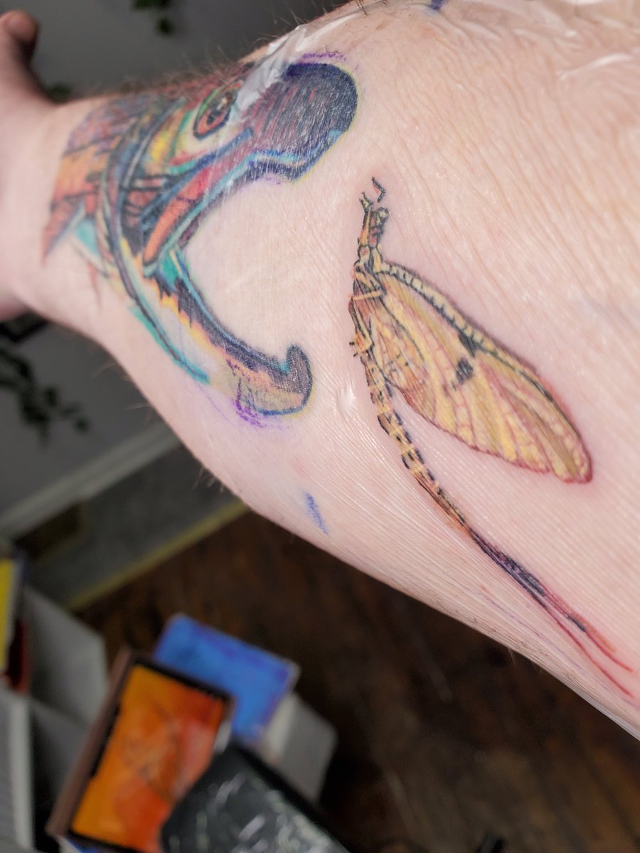 cmcdaniel6's tweet image. Fresh ink for 2024 (was my resolution).  Courtesy of Indigo Bethany at Morph Body Arts in Blacksburg, VA.   A bug friend for my lonely trout.