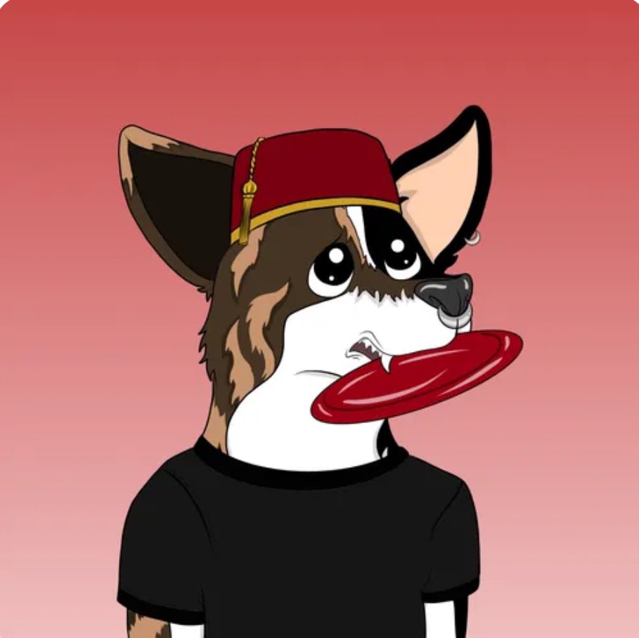 <a href="/VeCorgi/">Corgi.VET</a> 
@CorgiGang 
#corgiknights #staking 
<a href="/Pez1988vechain/">pez1988Ⓥ</a>
<a href="/gmanxrp2/">GmanNFT</a> #WoV discord.gg/cNwtvH2R #Burn Needed a little corgi fix to brighten my day , looking forward to the FREE new art burn 🔥 coming soon 💪 off to 🥩 now ❤️ bit of a Tommy cooper vibe going on here!! IYKYK