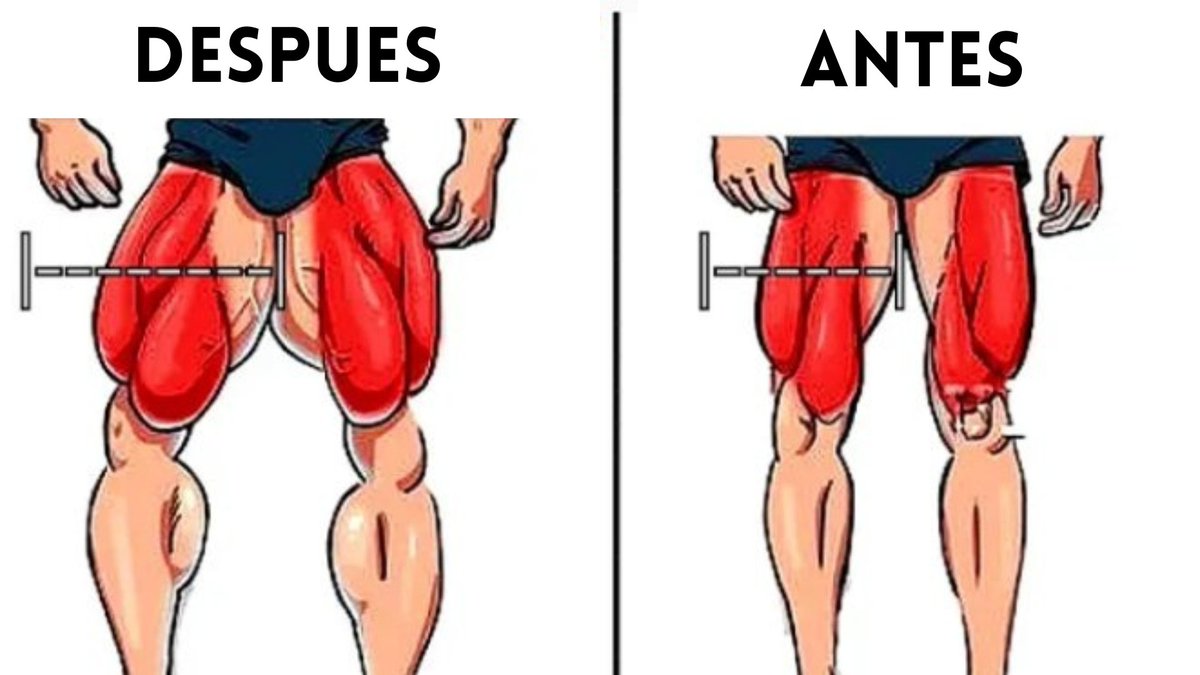 SenorMusculo's tweet photo. Quieres piernas más grandes? En casa o en el gimnasio? 💪⚡

Aquí tienes un entrenamiento completo que puedes hacer en el gimnasio o en tu casa! 🔥

- Piernas más grandes 😱
- Con o sin aparatos ❌
- Consigue resultados ENORMES en semanas! 🔥

HILO https://t.co/AJ2vyOOb1w