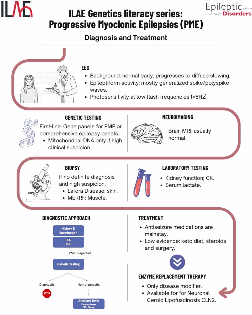 EpiDisorders's tweet photo. In this ILAE Genetics Literacy Series, Cameron et al. review the diagnostic workup and treatment for progressive myoclonic epilepsies.
https://t.co/flQqtROp3O
@mariajpol @RoohiKatyal @fabnascimen @SBeniczky @WileyNeuro @WileyHealth @Ilaeweb https://t.co/biI57CE36O
