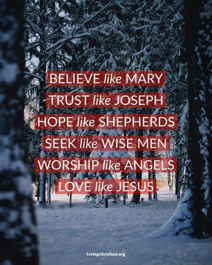 Post Christmas reflection