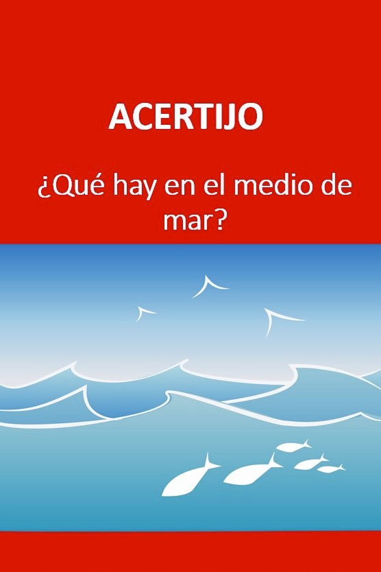 Suricato 💎 tweet media