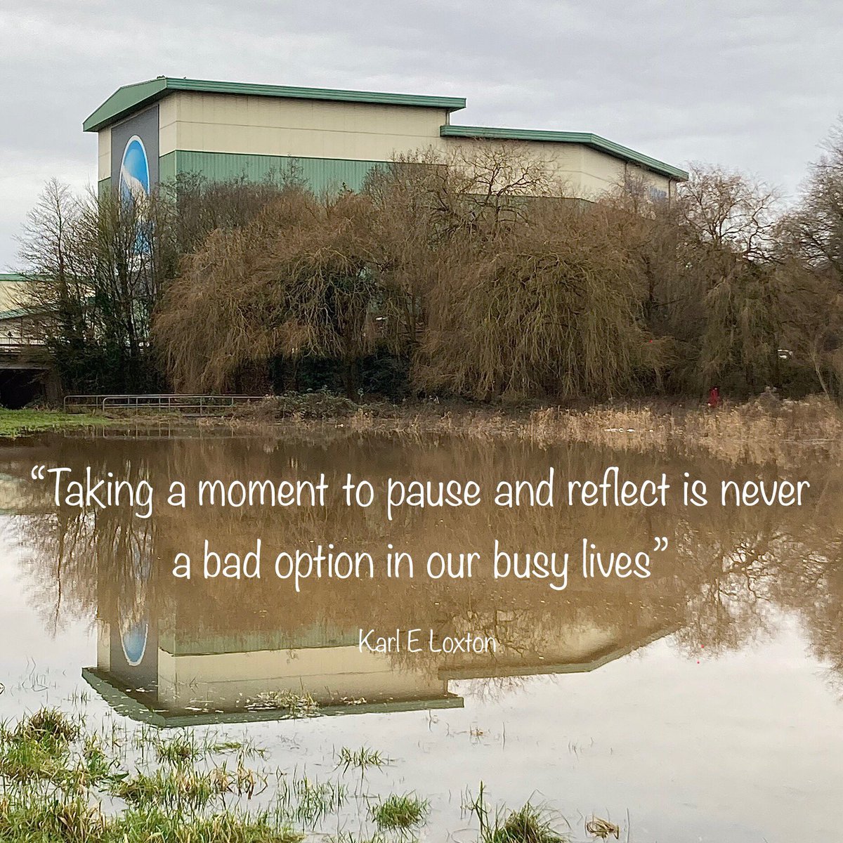 swan8inspirates's tweet photo. #Lifequotes #Reflection #NaturesReminder #quotes 

As I walked nature offered up this image which led to todays #thoughtquote 

“Taking a moment to pause and reflect is never a bad option in our busy lives” ~ KEL🫶 https://t.co/ESRh6mXLJf