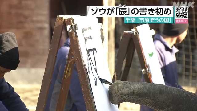 'An 8-year-old girl: ``Amazing to see the elephant draw and write kanji properly.'' Elephants can't draw; they're trained with painful stabs. The public learns nothing about elephants at these shows  #notentertainers. buff.ly/3REaSn6