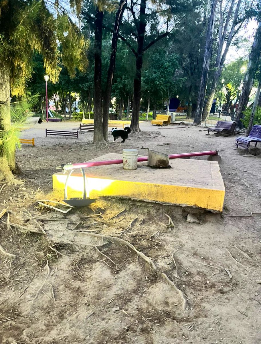 ProvidenciaNte's tweet photo. Se realiza la reparación de la luminaria caída dentro del parque Italia, en colonia Providencia, agradecemos la pronta respuesta al área de alumbrado público, @ArqEnriqueAG y @GuadalajaraGob.
#PorUnaMejorColonia. https://t.co/iVTRWoH2v0