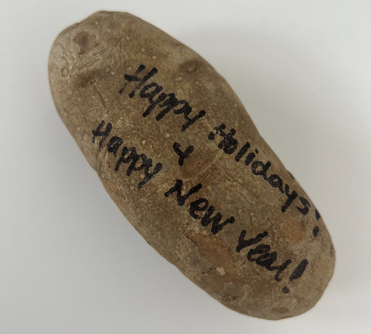 AyyEllCee's tweet photo. Did you know that you can mail potatoes and coconuts without a box? @USPS 

Next year, consider this for your holiday greetings. Guaranteed to be the best (and most memorable) card your friends and colleagues receive! https://t.co/sySOWa5YY4