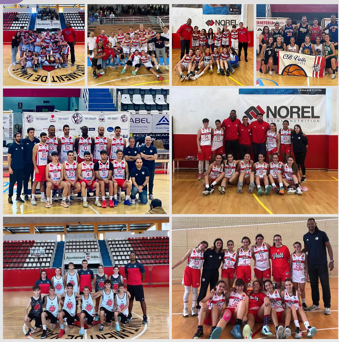 viny__13's tweet photo. ✨👣🧘🏿‍♂️

La llegada de un nuevo año es la oportunidad perfecta para mirar al futuro con optimismo y al pasado con gratitud! 🫶🏿

Muito obrigado 2023 ✨🍍💪🏿🏀 https://t.co/l90y1NV27a