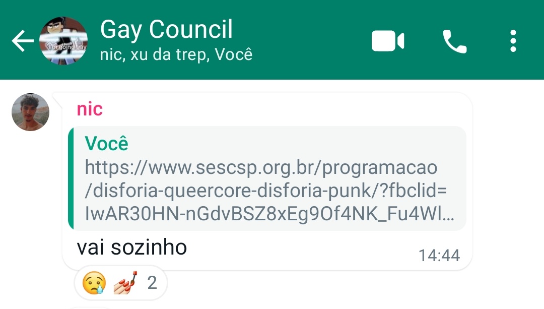 eles não entendem o queerpunk amigas...