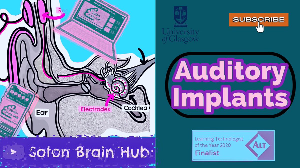 Something new for ‘24 👉🏻 youtu.be/p3OTdZPTtYY?si… <a href="/calvindelouche/">Calvin De Louche</a> <a href="/charlottewoody_/">charlotte</a> <a href="/UofG_Anatomy/">Anatomy@UofG</a> <a href="/UoS_Medicine/">Southampton Medicine</a> <a href="/anat_soc/">Anatomical Society</a> <a href="/AnatSciEduc/">Anatomical Sciences Education</a> please watch and share 🙏🏻<a href="/drmiketodorovic/">Dr. Mike Todorovic 🧠</a>